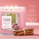thumbnail image 4 of Vela Yankee Candle 411 g 3 mechas Home Sweet Home, 4 of 6