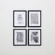 thumbnail image 1 of Set 4 Marcos Mad 4 20X25 Negro 30X40, 1 of 6