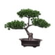 thumbnail image 2 of Planta De Maceta De árbol De Bienvenida Artificial Bonsai Versátil Para Hall Vestibule Style A, 2 of 6