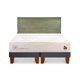 thumbnail image 1 of Cama Europea Cocopedic 2 Plaza Base Dividida, 1 of 12