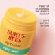 thumbnail image 5 of Crema labial Burt's Bees Sweet Mint de 15 ml que repara los labios secos, 5 of 9
