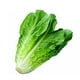 thumbnail image 1 of Lechuga Costina Bolsa, 1 of 2