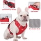 thumbnail image 3 of Arnés reflectante ajustable antitirones para perros pequeños, medianos y grandes, chaleco Oxford acolchado suave con asa de fácil control para entrenamiento de caminata., 3 of 7