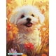 thumbnail image 2 of Kit de pintura con diamantes malteses Diamond Art Club Fields of Joy, 2 of 4