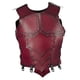 thumbnail image 1 of Chaleco De Equitación Ecuestre Para Adultos Protector De Cuerpo Para Eventos De Protección Rojo, 1 of 5