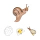 thumbnail image 4 of Figuras Del Ciclo De Crecimiento Animal, Accesorios De Ense?anza Para Ni?os Y Ni?as, Caracoles De Aprendizaje Preescolar, 8cm, 4 of 5