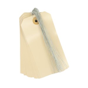 Bothyi - 100 Etiquetas De Papel En Blanco Con Cordón Para Colgar En La Pared, Ideales Para Manualidades Navideñas.
