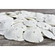 thumbnail image 3 of Set de decoración de pared y adornos Sand Dollar, paquete de 50 dólares de arena reales, 3 of 4