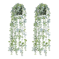 Genérico - Macetero Planta Colgante 60 Cm Interior Exterior