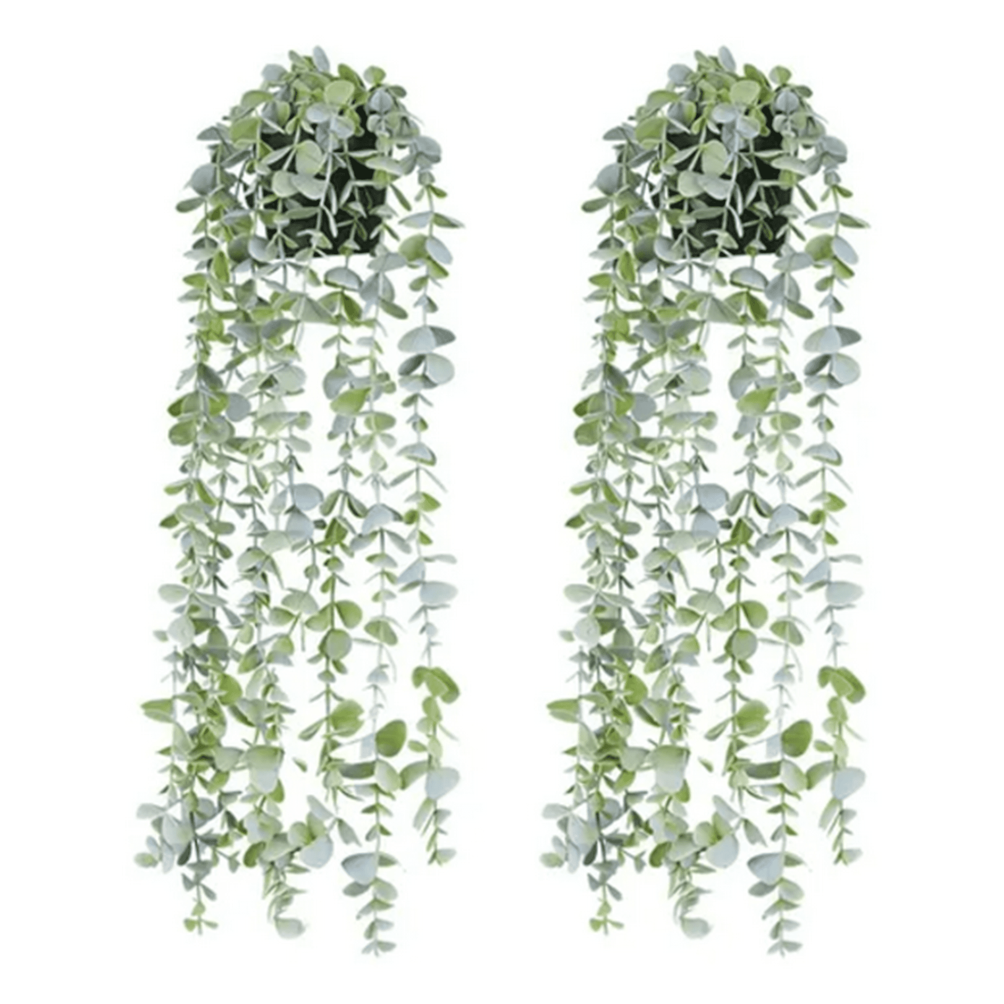 Genérico - Macetero Planta Colgante 60 Cm Interior Exterior