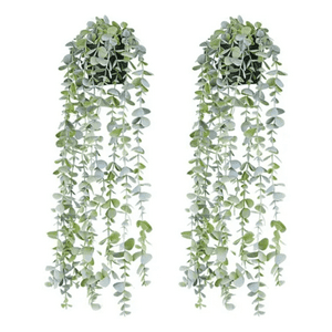 Genérico - Macetero Planta Colgante 60 Cm Interior Exterior