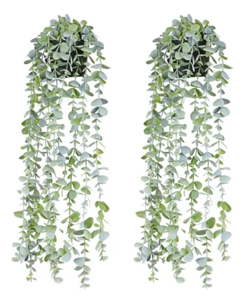 Genérico - Macetero Planta Colgante 60 Cm Interior Exterior