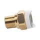thumbnail image 2 of Adaptador Whale Wx1513b de 15 mm a macho NPT de 1/2" en latón, 2 of 5