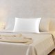 thumbnail image 2 of PiccoCasa 1 Pc Funda de Almohada de Seda de 19 Momme con Cremallera Oculta King Blanco Nieve 20" x 36", 2 of 7