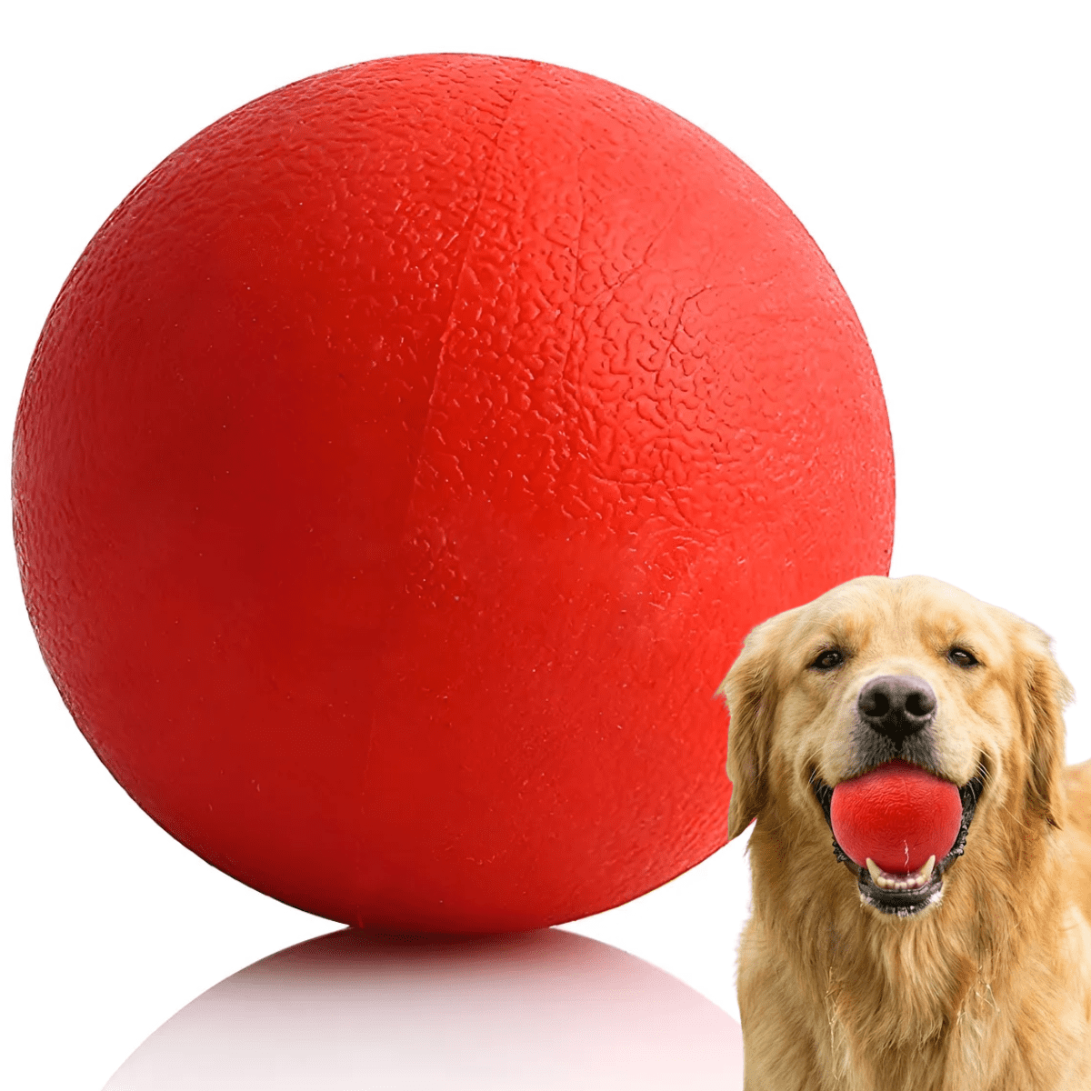 Genérica - Pack 3 Pelotas Juego Con Rebote Mascotas Gatos Perros