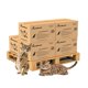 thumbnail image 1 of Almohadillas desechables PETSWORLD para caja de arena multi-gato 43 x 29 cm, 1 of 7
