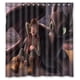 thumbnail image 1 of Cortina de ducha con diseño de Hipo y Desdentao, mejores amigos, con ganchos, tamaño 66 x 72 pulgadas, 1 of 3