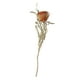 thumbnail image 3 of Adorno De Pastel De Flores Secas Bohemio, Accesorio De Ramo DIY Para El Hogar, Boda Al Aire Libre, 3 of 3