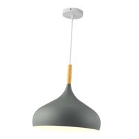 Ioensy - Lámpara Colgante De Metal, Cubierta De Luz De Moda Para Pasillo, Baño, Sala De Estar, Gris