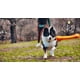 thumbnail image 5 of Tall Tails Hueso De Goma Natural Goat Juguete Para Perro M, 5 of 8