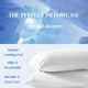 thumbnail image 4 of Fundas de almohada Beckham Hotel tamaño king, efecto refrescante, set de 2, blancas, 4 of 9