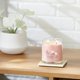 thumbnail image 5 of Tarro mediano de Candle Yankee Candle con aroma a arenas rosadas, 385 ml, 5 of 5