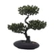 thumbnail image 1 of Pino Artificial De Bienvenida En Maceta, Realista, Para Cocina, Comedor, Ligero, Verde Oscuro, 1 of 5