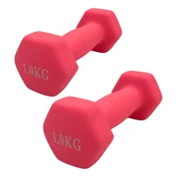 Linea Sport - Par De Mancuernas Hexagonal De Neopreno 1Kg C/U (Total 2Kg)