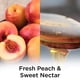 thumbnail image 2 of Recambio De Aceite Perfumado Plug In Fresh Peach 5 Unidades, 2 of 8