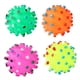 thumbnail image 1 of Dog Squeaky Ball Chew Toy - Assorted Varieties, 1 of 2