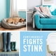 thumbnail image 3 of Ambientador Febreze Plug Linen & Sky, 1 calentador y 2 recargas, 3 of 9
