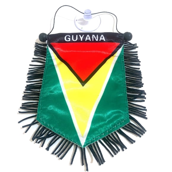 Bandera para coche PRK 14 Guyana – decoración para espejo retrovisor