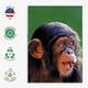 thumbnail image 3 of Tarjeta de felicitación 90210 Exotics Lindo chimpancé de 13 x 18 cm con foto, 3 of 5