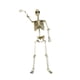 thumbnail image 4 of Adorno De Esqueleto De Terror Para Halloween, Flexible, Para Fiestas Al Aire Libre, Festivales, 40 Cm, 4 of 5