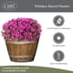 thumbnail image 4 of Macetero GROWSCAPE Barril de Whisky 52 cm Roble Marrón, 4 of 7