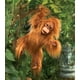 thumbnail image 3 of Marioneta de mano Folkmanis Baby Orangutan Naranja-Marrón, 3 of 3