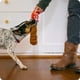 thumbnail image 3 of Good Boy cola - Peluche sensorial para perros, 3 of 4