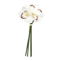 Bothyi - Orquídea Realista Hidratante, Regalo, Orquídea Cymbidium Artificial Para Vacaciones, Color Blanco