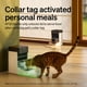 thumbnail image 4 of Comederos automáticos para gatos PETLIBRO RFID para 2 gatos 3L 5G Wi-Fi, 4 of 8
