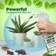 thumbnail image 4 of Aerosol repelente de roedores Mighty Mint, aceite de menta, 500 ml, 2, 4 of 8