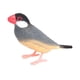 thumbnail image 1 of Modelo De Pájaro, Juguete De Pájaro De Jardín Para Decoración De Tartas Con Micropaisaje, Accesorios Para Fotos, Estilo A, 1 of 5