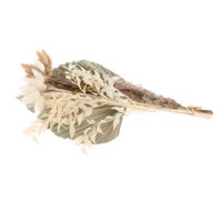 Bothyi - Hojas De Palma Secas Paquete De Hierba De Pampa Ramas De Lanzas De Palma Para Conjunto De Bodas A