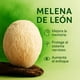 thumbnail image 3 of Suplemento Melena de León Vidanova 60 Cápsulas - 1.000 mg, 3 of 3