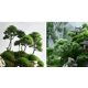 thumbnail image 4 of suxuMhao Árboles Artificiales, 2 Pzas Árboles Falsos Verdes Árboles Falsos, 9 X 7.4in Árbol de Alambre Simulado Modelo de Mesa de Arena Decoración de Árbol Árboles Escena Árbol Modelo, Árboles, 4 of 5