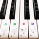 thumbnail image 1 of Stickers para Teclado de Piano COYAHO de 49 Teclas Multicolor, 1 of 3