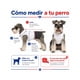 thumbnail image 5 of Traje de Huaso Chileno para Perro Talla M, 5 of 10