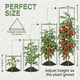 thumbnail image 5 of Tutor para tomate K-Brands de 68 pulgadas de alto para verduras (paquete de 6), 5 of 9