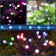 thumbnail image 3 of Luces Solares para Jardín TONULAX Starburst RGB de Cambio de Color - Pack de 2, 3 of 6