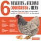 thumbnail image 5 of Larvas De Mosca Soldado Negra 4 5 Kg Premio Para Gallinas, 5 of 8