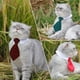 thumbnail image 3 of Juego de corbatas y corbatas Yosbabe para mascotas, 4 unidades, ajustables, 3 of 7